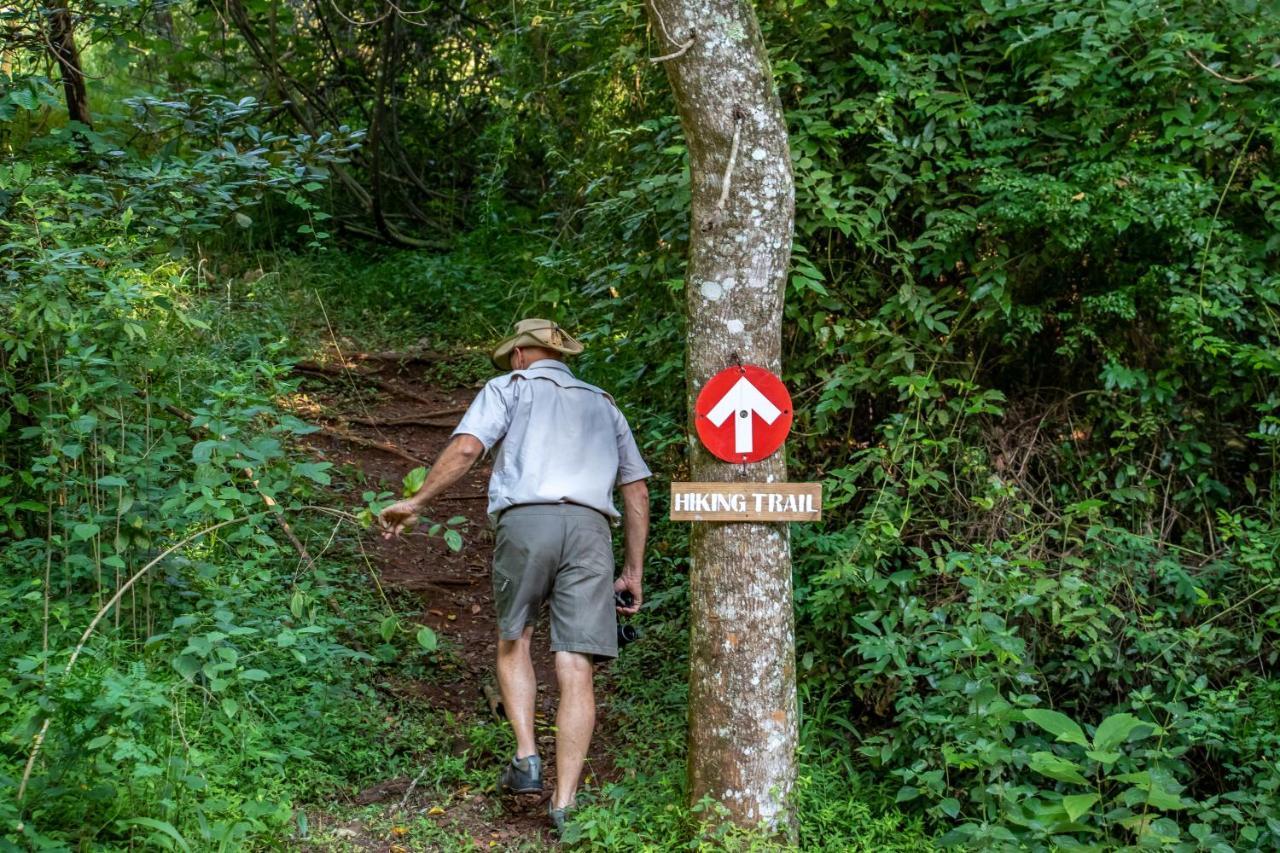 Africamps At Mackers Villa Hazyview Ngoại thất bức ảnh
