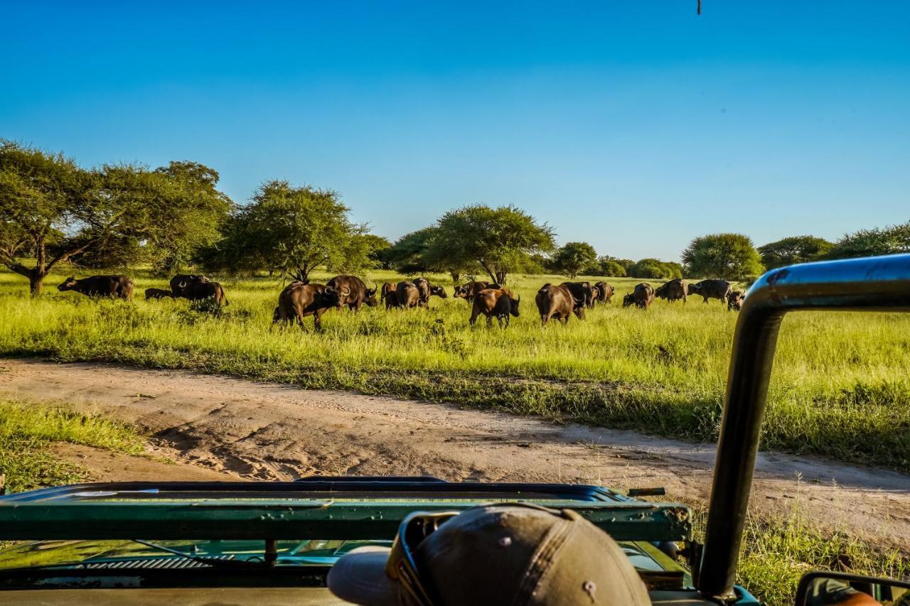 Africamps At Mackers Villa Hazyview Ngoại thất bức ảnh